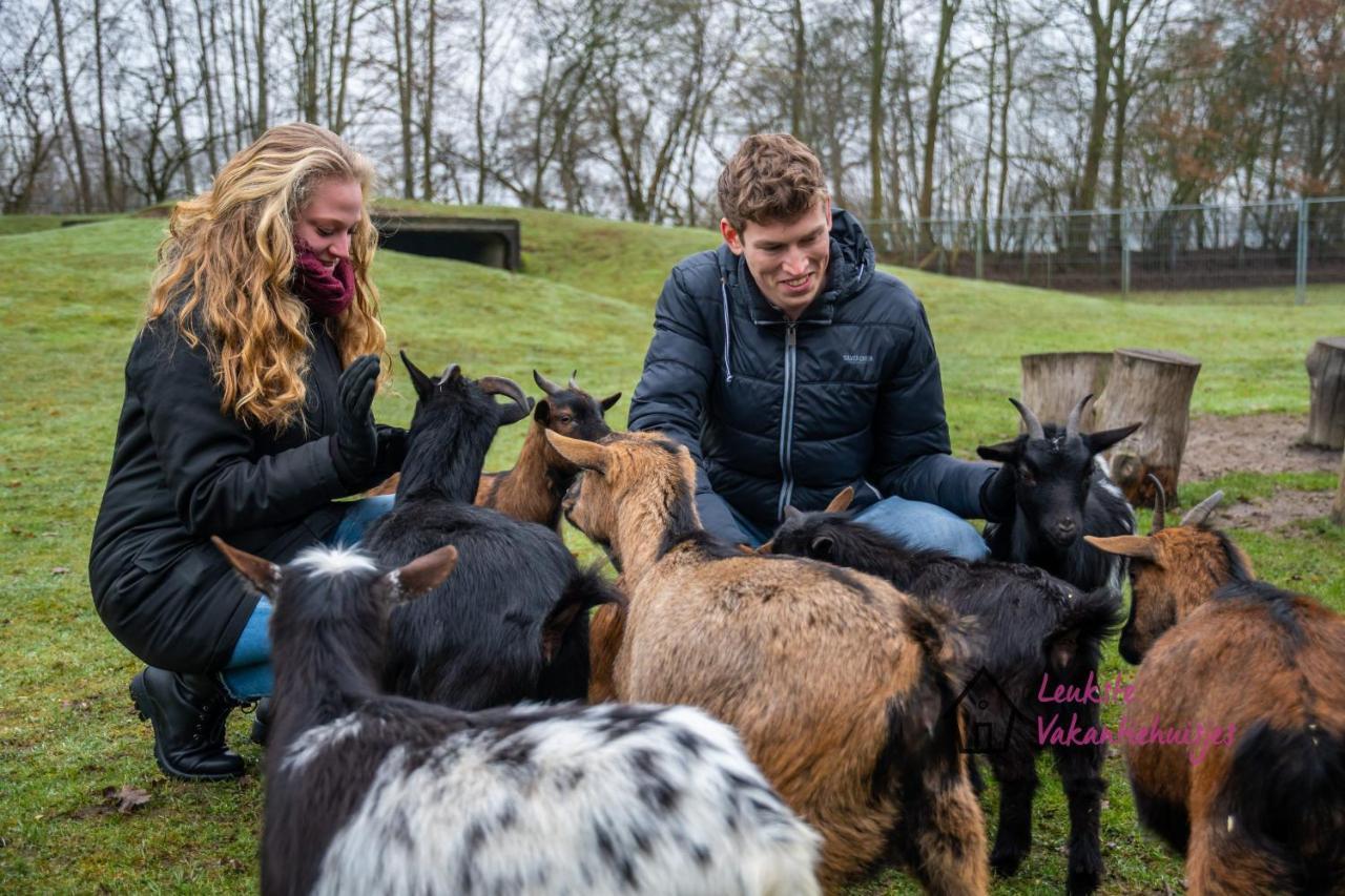 Het Familie Boshuisje - Vakantiewoning Op Prachtig Park Met Veel Faciliteiten Inc Ligbad Gramsbergen Exteriér fotografie