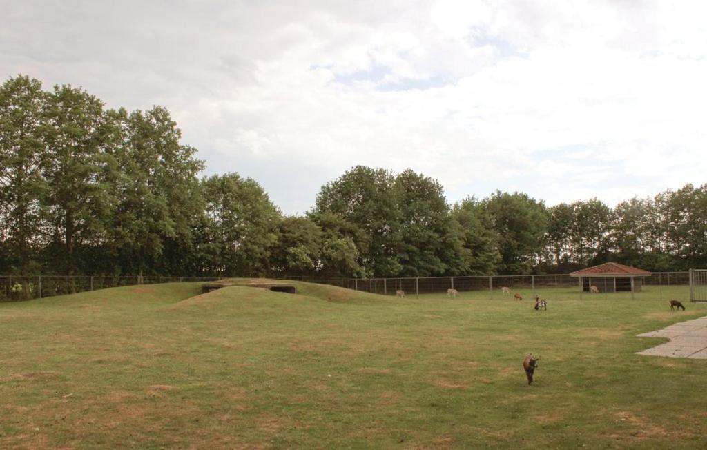 Het Familie Boshuisje - Vakantiewoning Op Prachtig Park Met Veel Faciliteiten Inc Ligbad Gramsbergen Exteriér fotografie